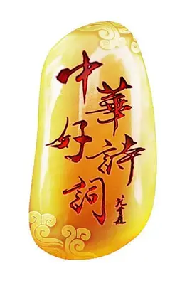 《中华好诗词第一季》全集高清完整版在线观看与剧情解析