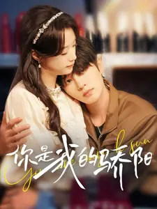 《你是我的骄阳》全集高清完整版在线观看与剧情解析