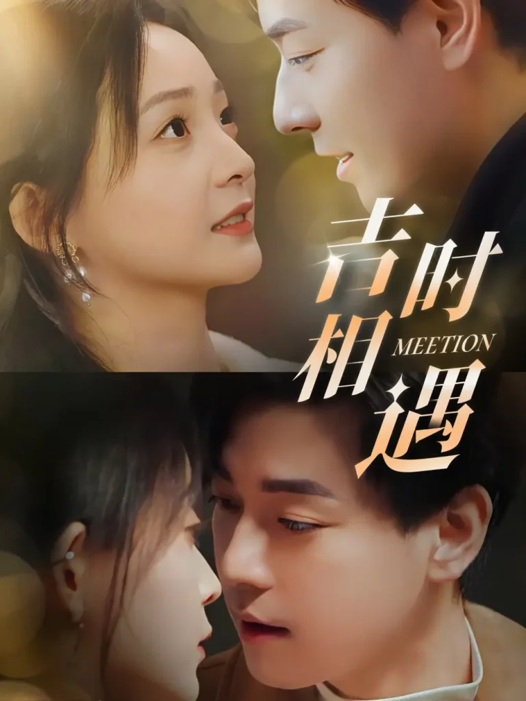 《吉时相遇》全集高清完整版在线观看与剧情解析