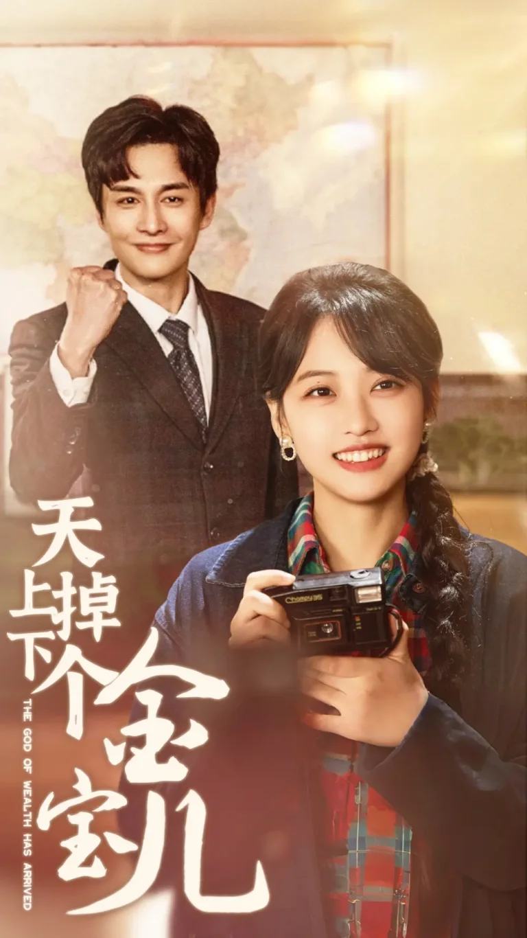 《天上掉下个金宝儿》全集高清完整版在线观看与剧情解析