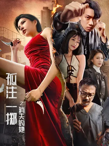 《孤注一掷之消失的她》全集高清完整版在线观看与剧情解析