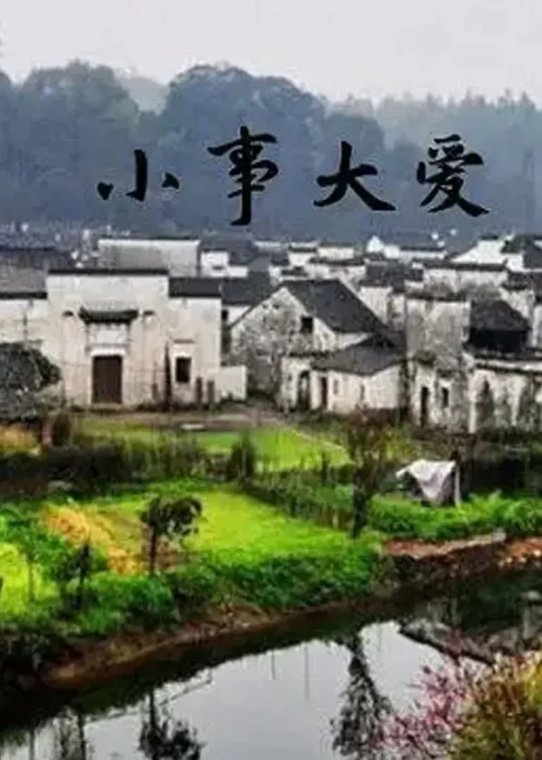 《小事大爱》全集高清完整版在线观看与剧情解析