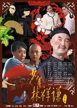 《少年林祥谦》全集高清完整版在线观看与剧情解析