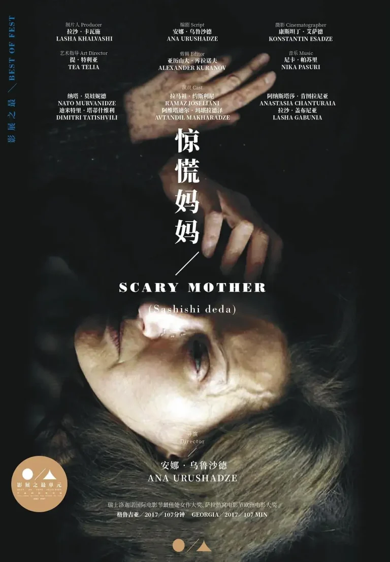 《惊慌妈妈》全集高清完整版在线观看与剧情解析