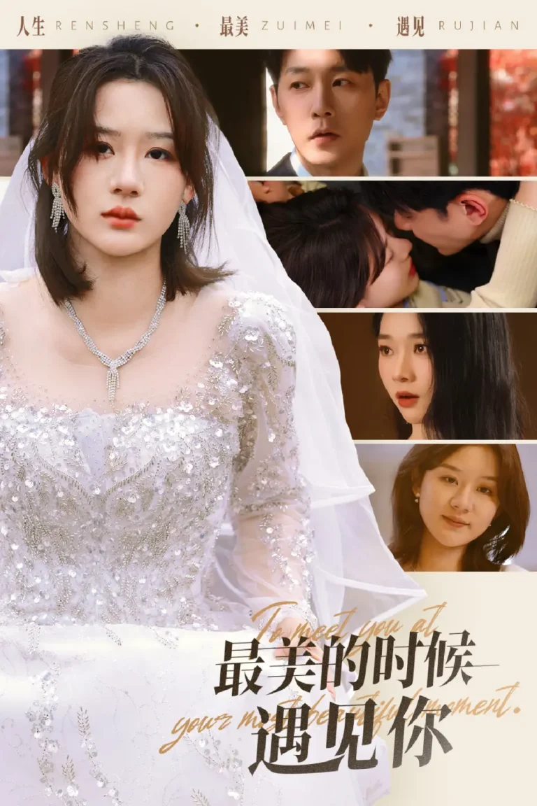 《最美的时候遇见你》全集高清完整版在线观看与剧情解析