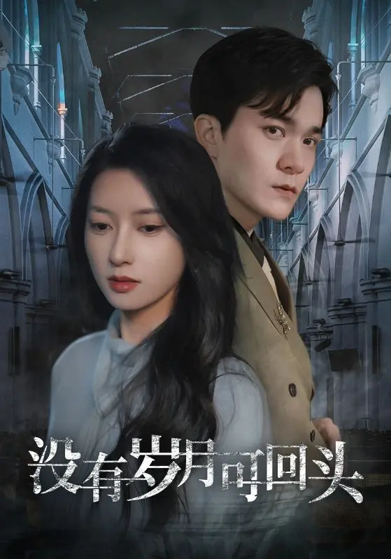 《没有岁月可回头》全集高清完整版在线观看与剧情解析