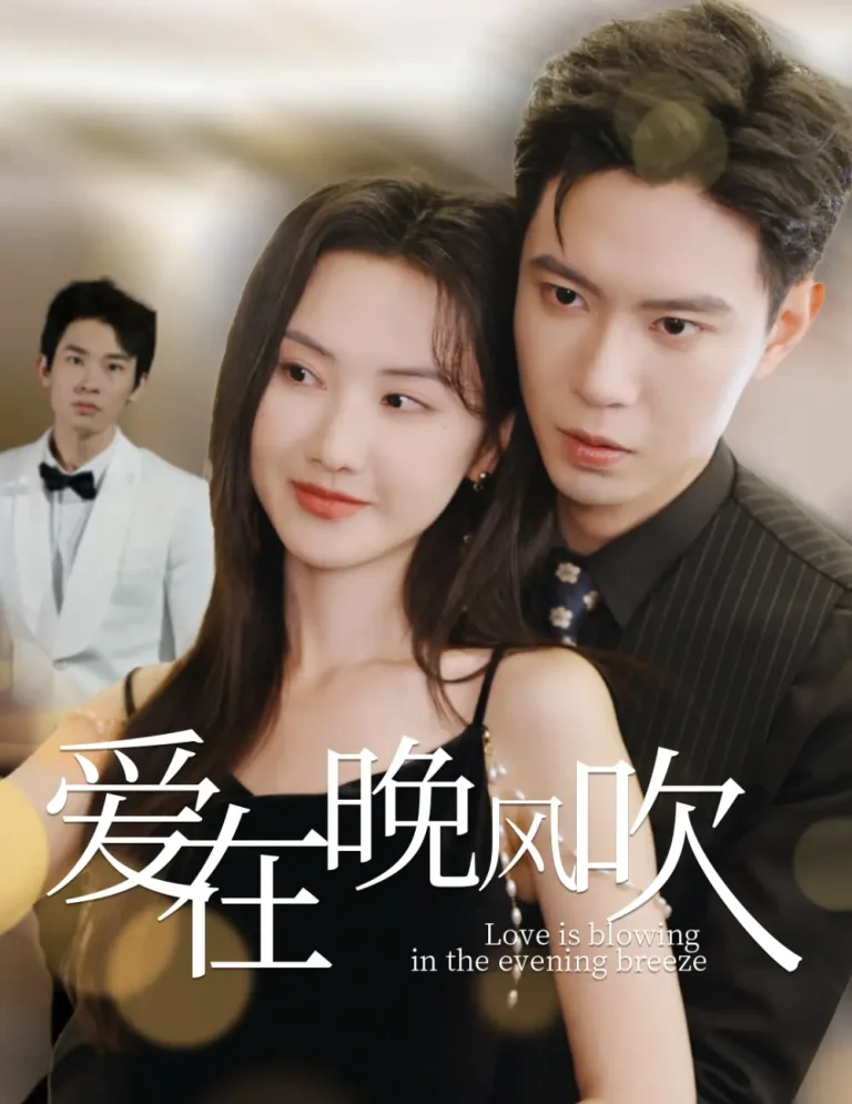 《爱在晚风吹》全集高清完整版在线观看与剧情解析