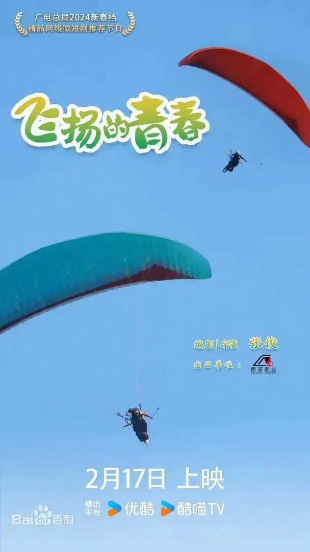 《飞扬的青春》全集高清完整版在线观看与剧情解析