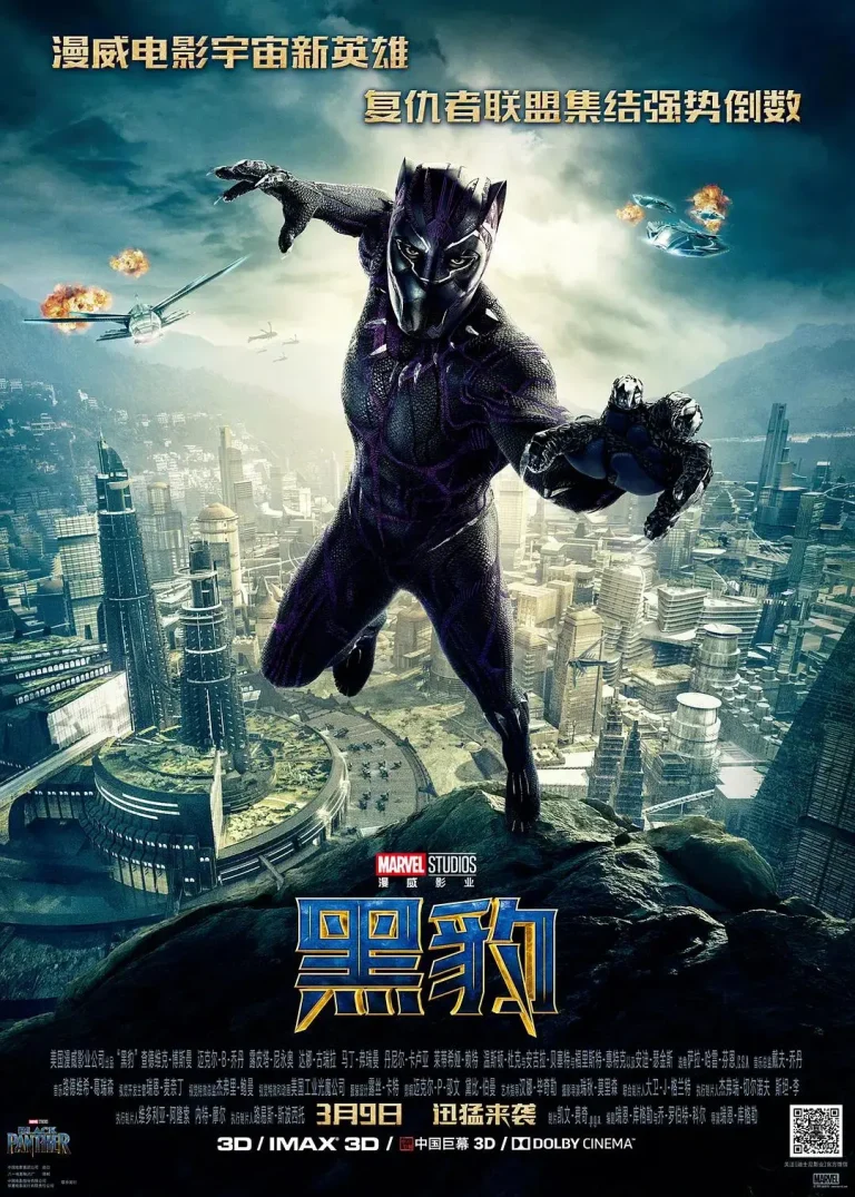 《黑豹》全集高清完整版在线观看与剧情解析